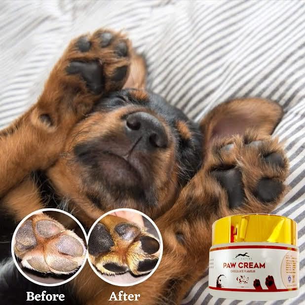 Pets Empire Paw Butter For Dogs & Cats - 50 gms