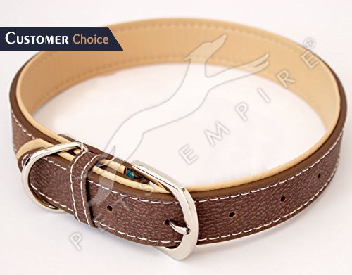 Pets Empire Leather Collar for Dogs