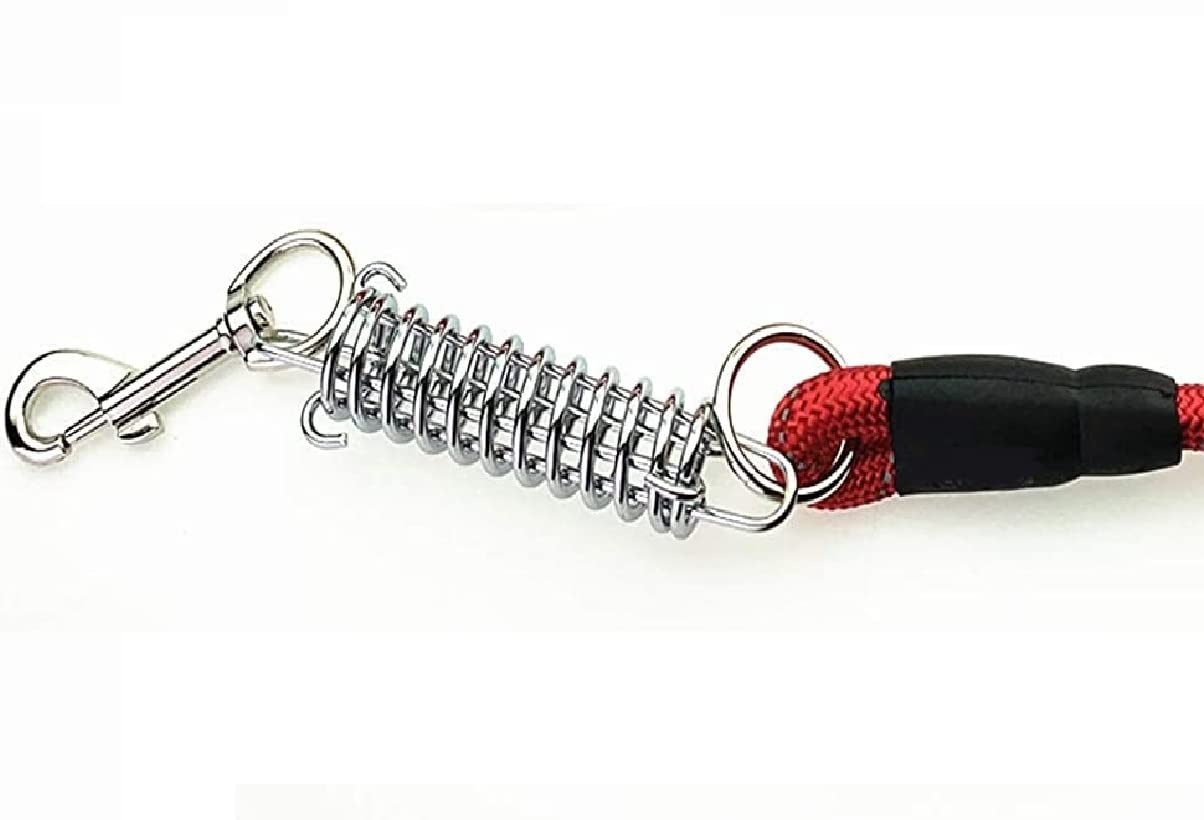 Pets Empire Spring Rope Reflective Leash For Dogs- Color May Vary