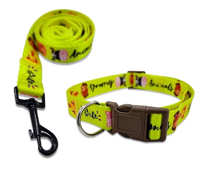 Pets Empire Disney Leash with Collar for Dogs