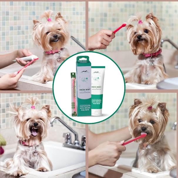 Pets Empire Pet Dental Oral Care Kit Combo - Dog Toothpaste with Brush (Buy 1 Get 1 Free)