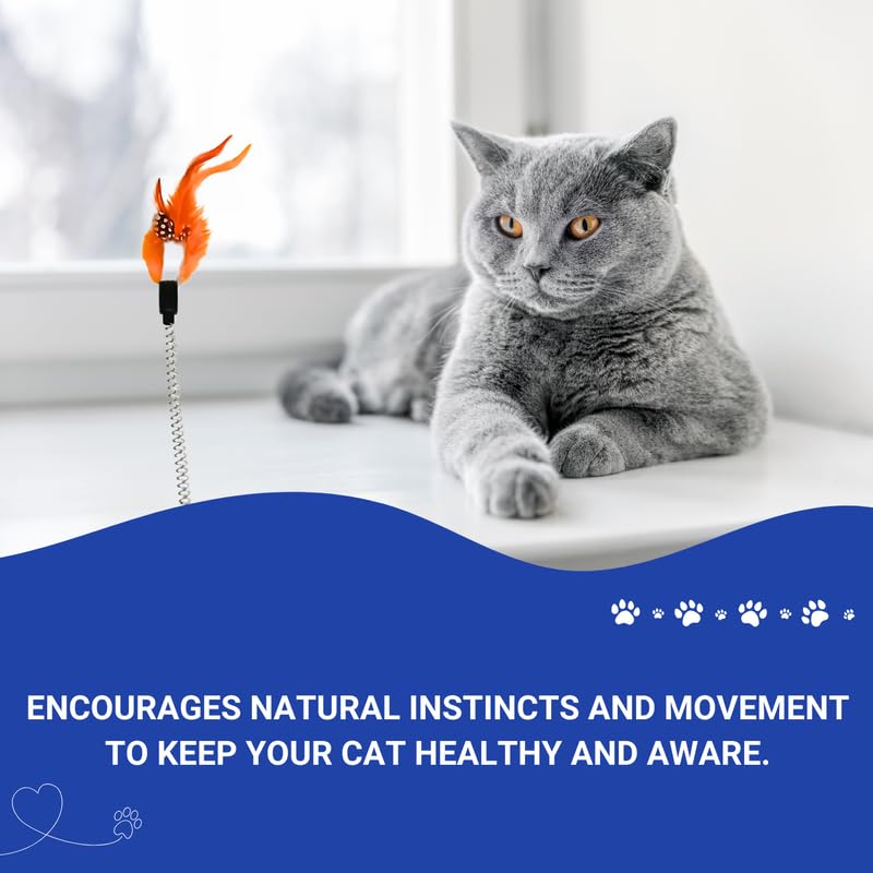 PETS EMPIRE Spring & Feather Teaser for Kittens & Cats (Pack of 2)