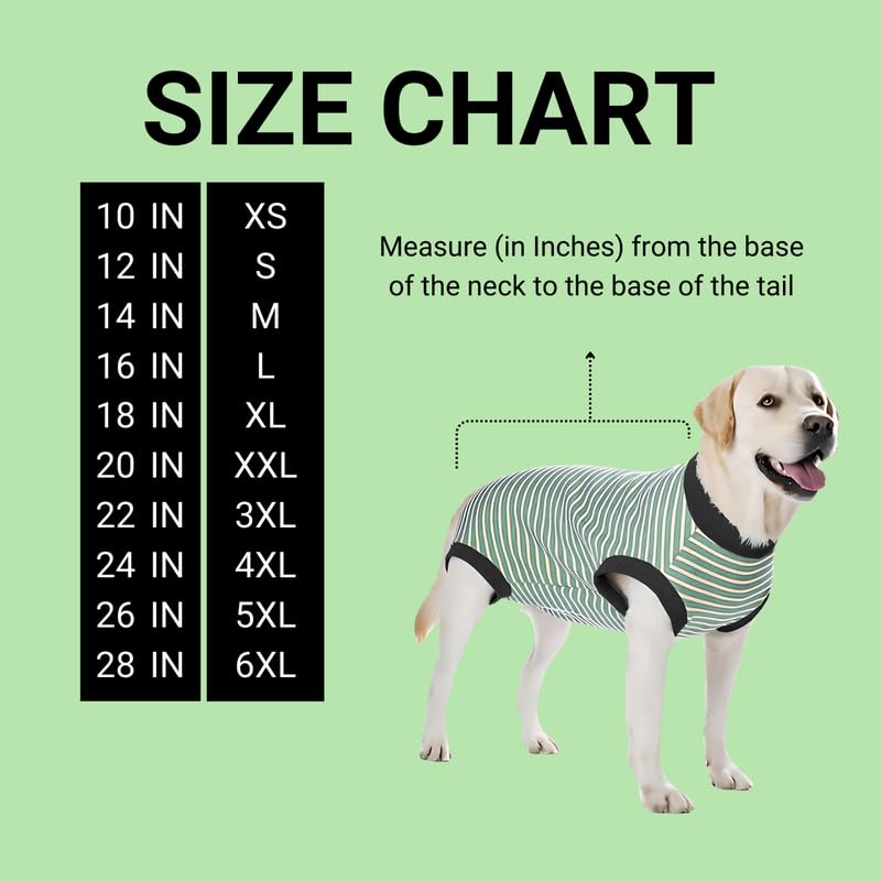 Pets Empire Warm Winter Sweater for All Breeds Dogs-  Green