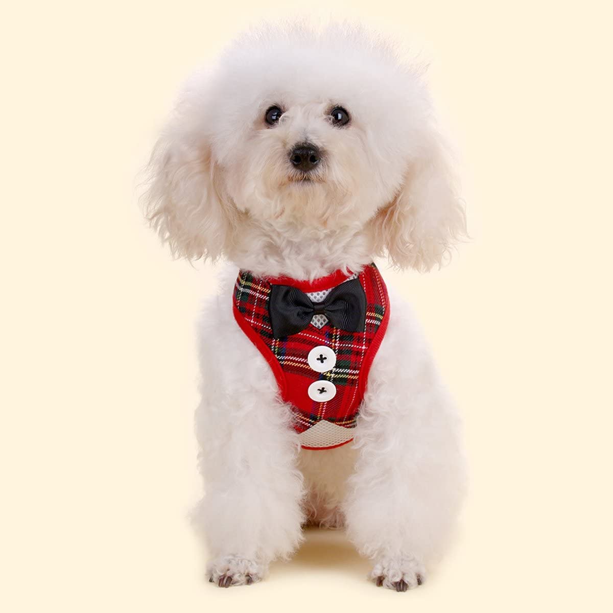 Pets Empire No Pull Harness and Leash for Small Breeds
