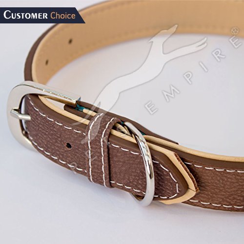 Pets Empire Leather Collar for Dogs