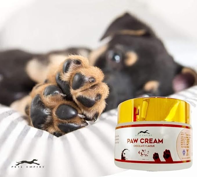 Pets Empire Paw Butter For Dogs & Cats - 50 gms