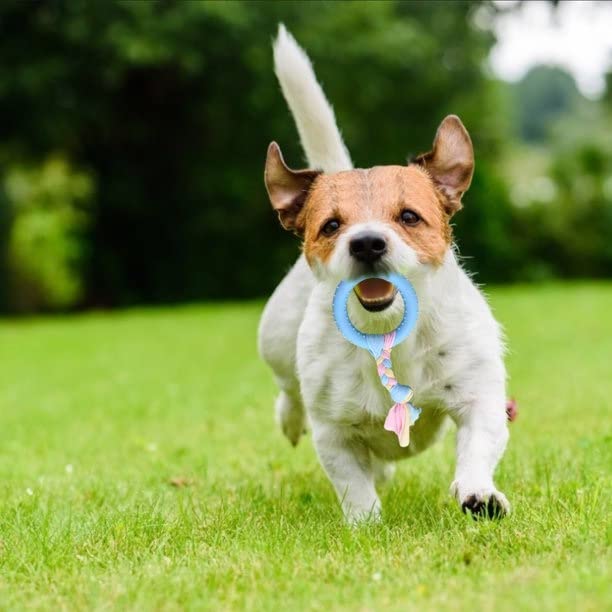 Pets Empire Dog Chew Rope Toys for Playtime and Teeth Cleaning Toy (Pack of 2)