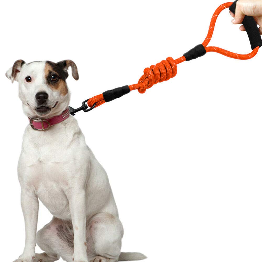 Pets Empire Rope Leash for Dog