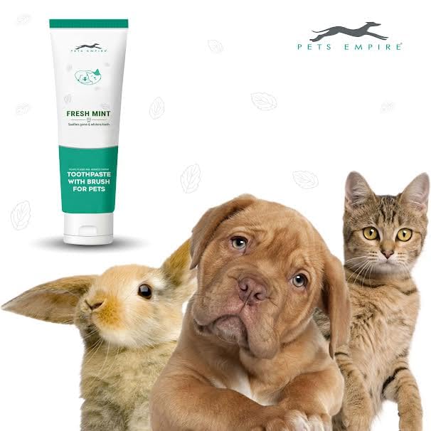 Pets Empire Pet Dental Oral Care Kit Combo - Dog Toothpaste with Brush (Buy 1 Get 1 Free)