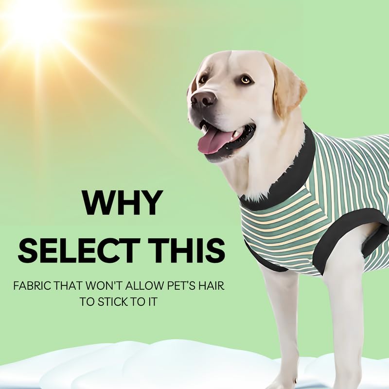 Pets Empire Warm Winter Sweater for All Breeds Dogs-  Green