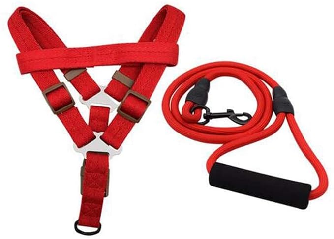 Pets Empire Adjustable Harness & Leash Set ( Colour may Vary)