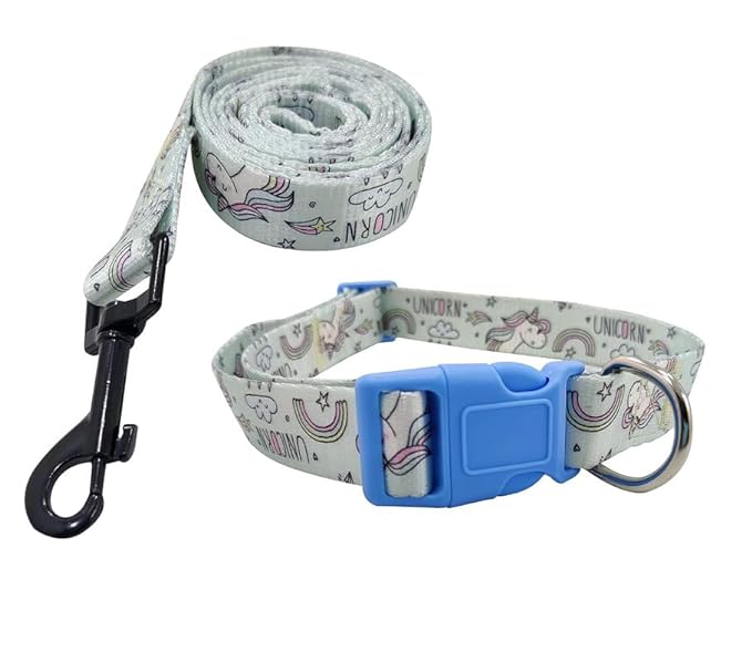 Pets Empire Disney Leash with Collar for Dogs