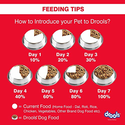 Drools 100% Vegetarian Adult Dog Food, 3 kg
