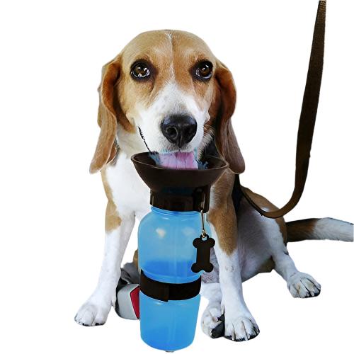 Pets Empire Dog Water Bottle 500 ml (Color May Vary)