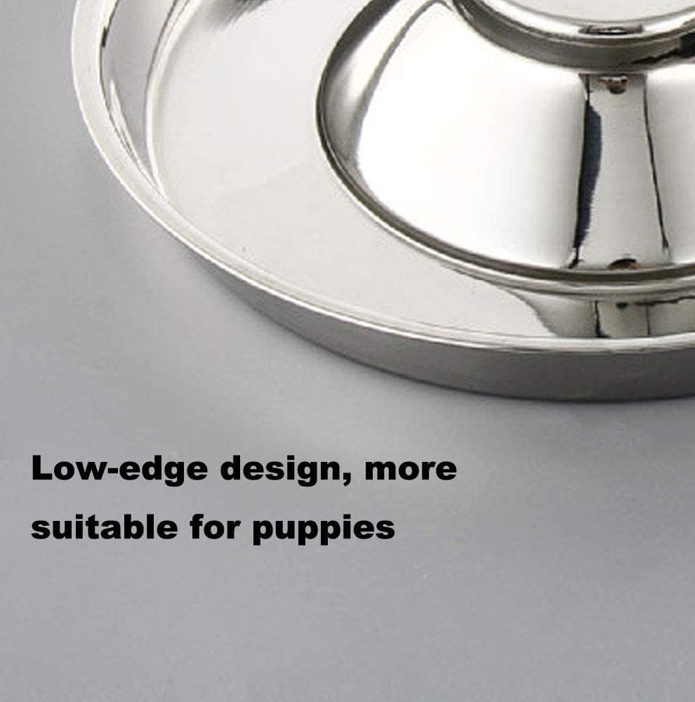 Pets Empire Stainless Steel Slow Feeding Dish