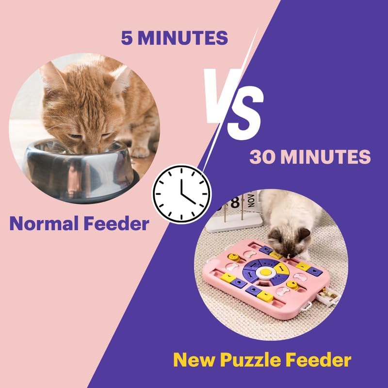 Pets Empire Interactive Puzzle Toy for Cats