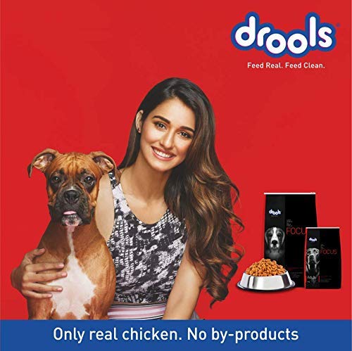 Drools Focus Adult Super Premium Dry Dog Food