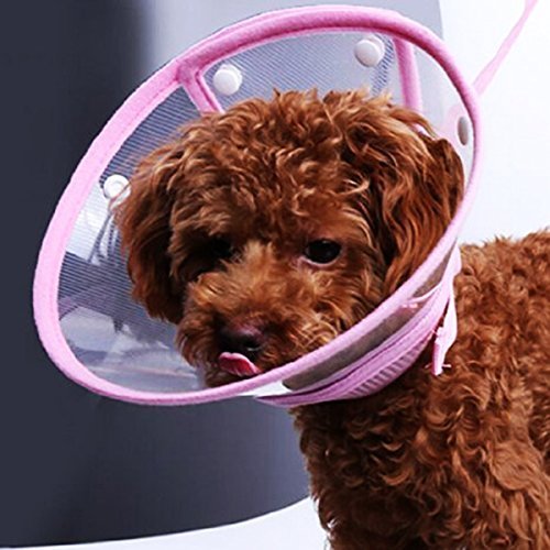 Pets Empire E Collar (Color May Vary)