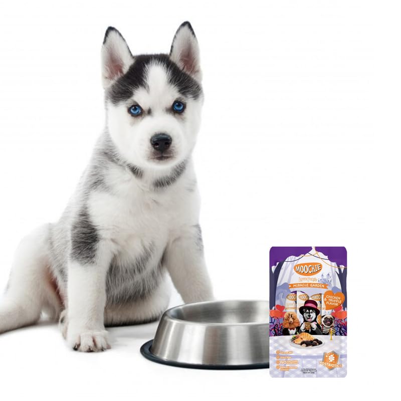 Moochie Creamy Dog Treats – Chicken & Truffle Flavour | Healthy & Tasty Snack