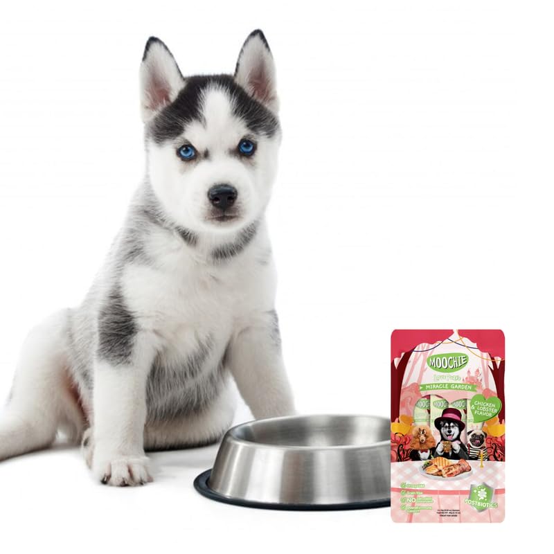 Moochie Creamy Dog Treats – Chicken & Lobster Flavour | Healthy & Tasty Snack