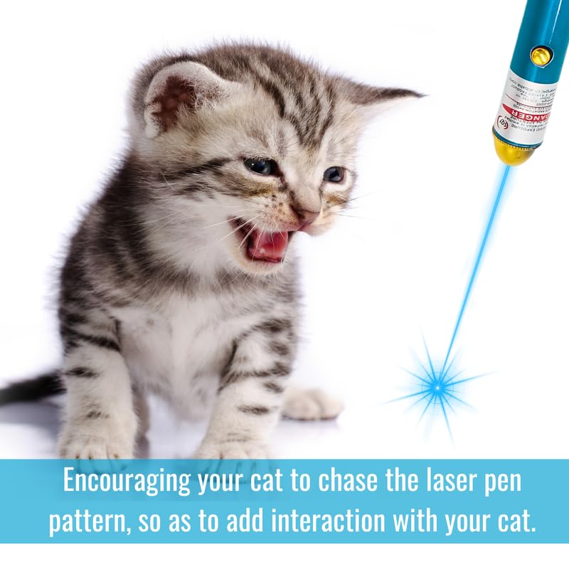 PETS EMPIRE Laser Pointer for Dogs & Cats