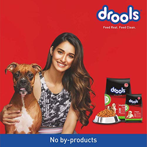 Drools 100% Vegetarian Adult Dog Food, 3 kg