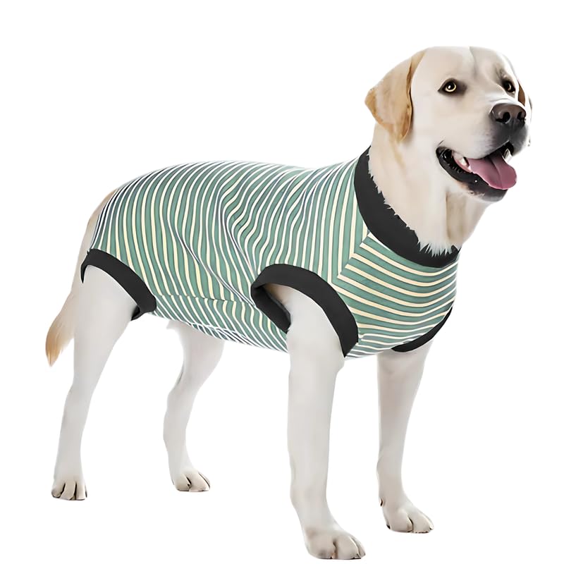 Pets Empire Warm Winter Sweater for All Breeds Dogs-  Green