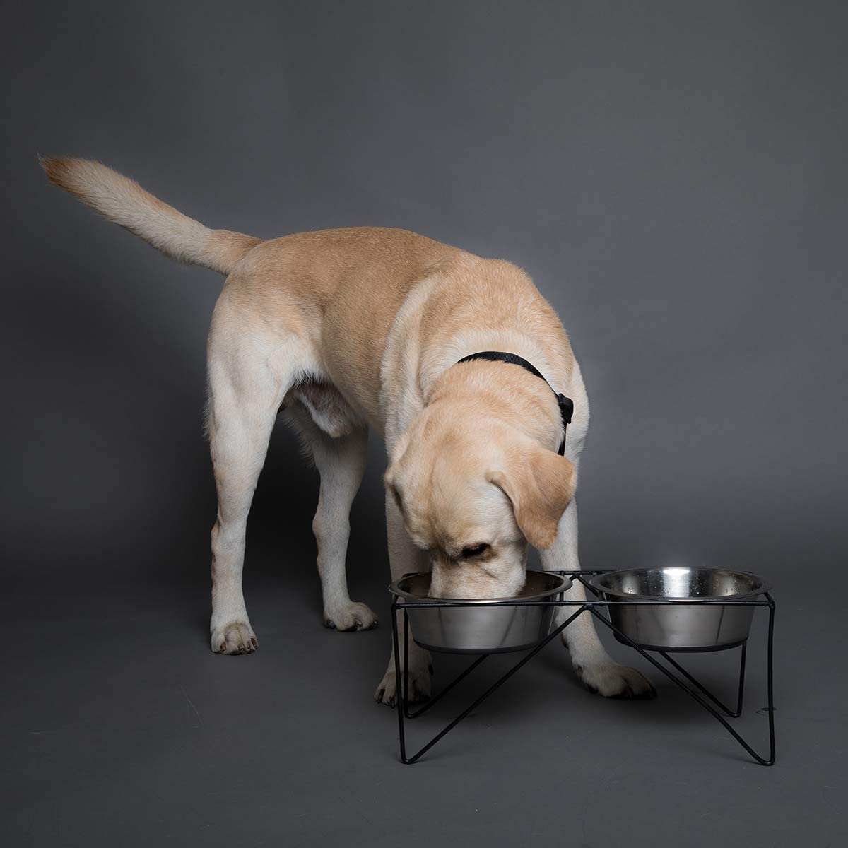 Pets Empire  Stainless Steel Food & Water Bowls with Iron Stand For Dog
