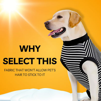Pets Empire Warm Winter Sweater for All Breeds Dogs- Black