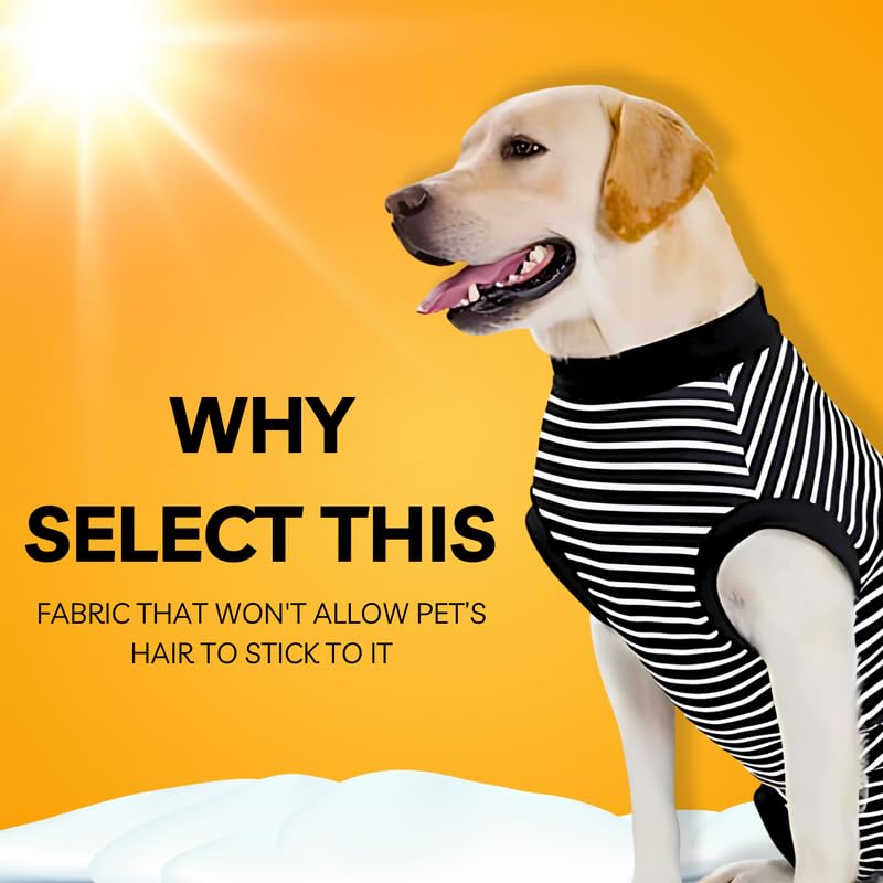 Pets Empire Warm Winter Sweater for All Breeds Dogs- Black