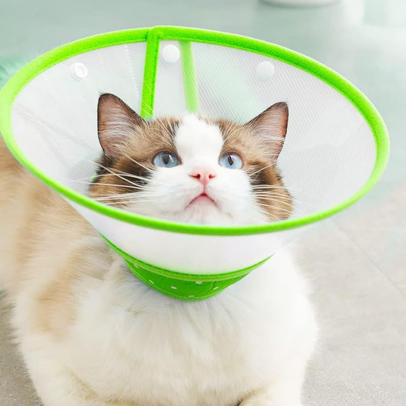 Pets Empire E Collar For Dog & Cat (Green Color)