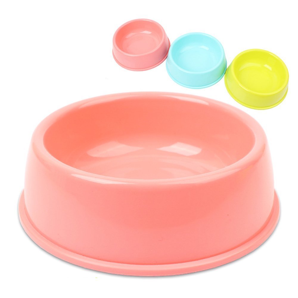 Pets Empire Non-Toxic Bowl for Cats ( Pack of 2 )