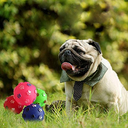 Pets Empire Paw Print Ball Toy (PACK OF 2)