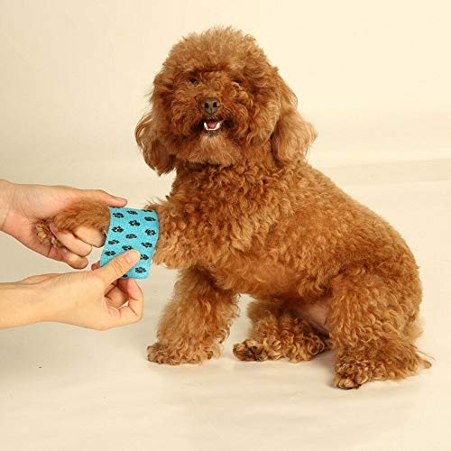 Pets Empire Bandage - Injury Wrap Tapes - Pack of 2