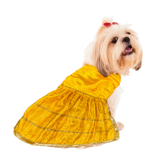 Pets Empire Designer Outfit For Female Dog (Yellow)