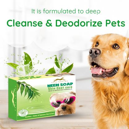 Pets Empire Neem Soap for Dogs – 4-Pack (100g Bars)