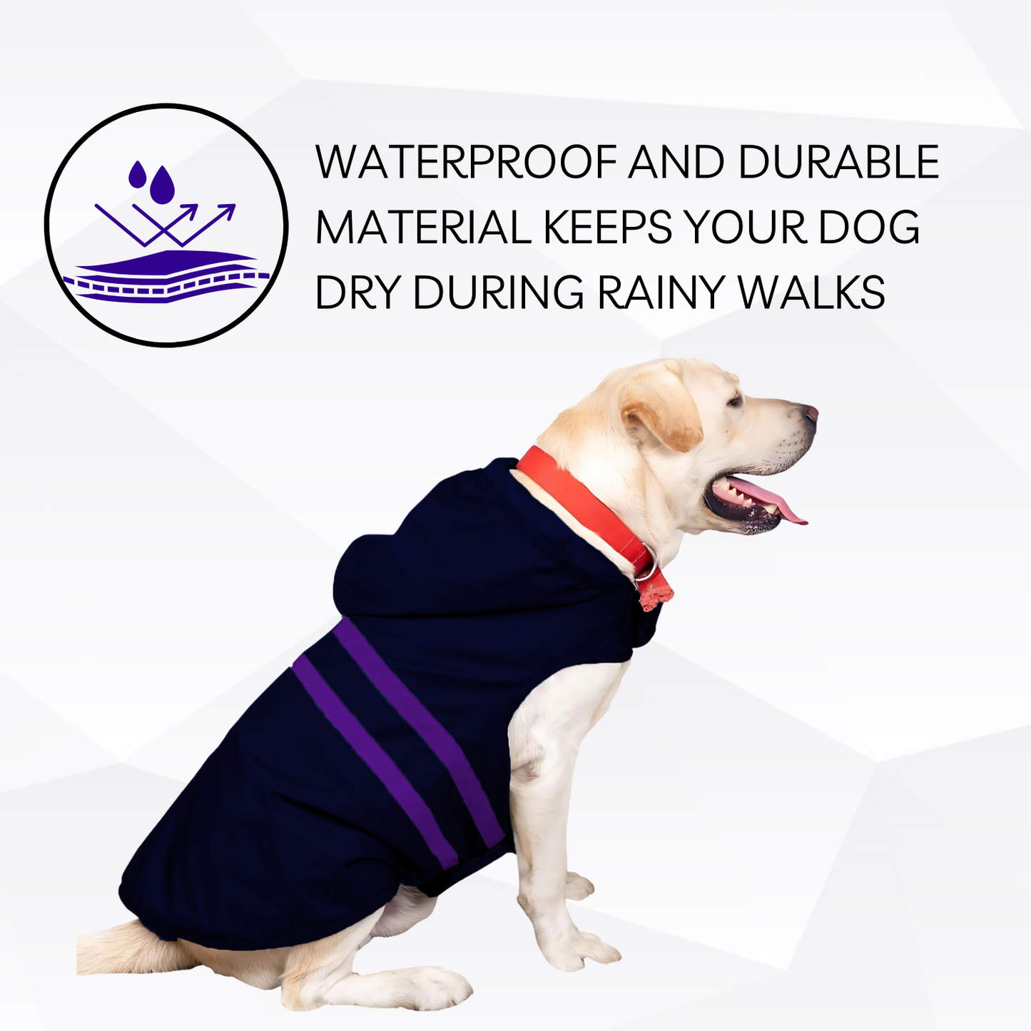 Pets Empire Raincoat for Dogs - Royal Blue