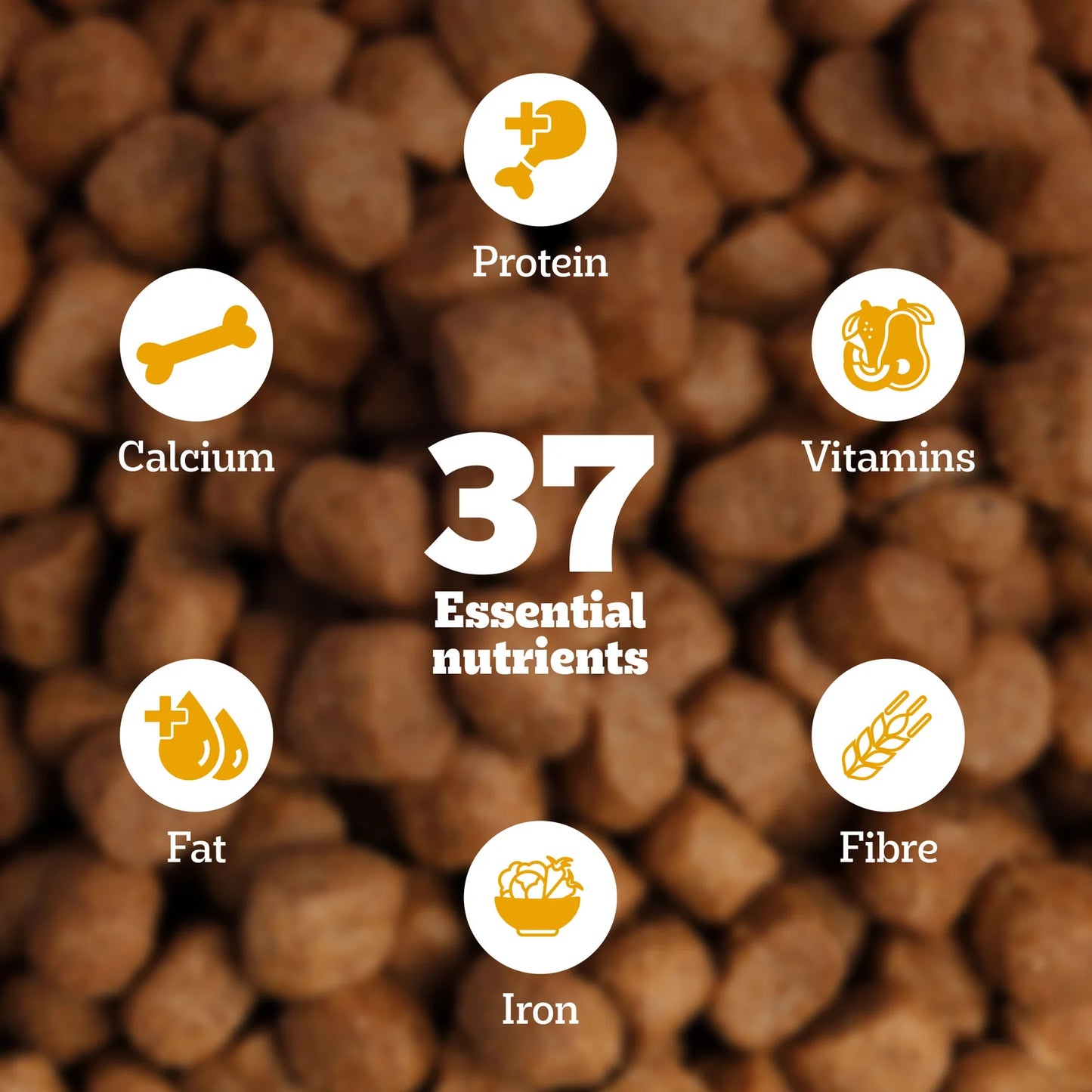 Pedigree Meat & Rice Adult Dry Dog Food