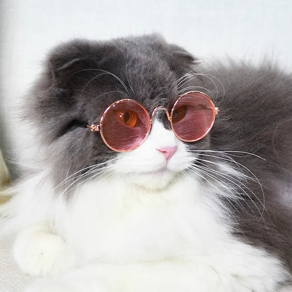 Pets Empire Eye Protection Sunglasses for Cat/Dogs