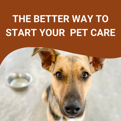 Pets Empire Polised Double Dinner For Dog