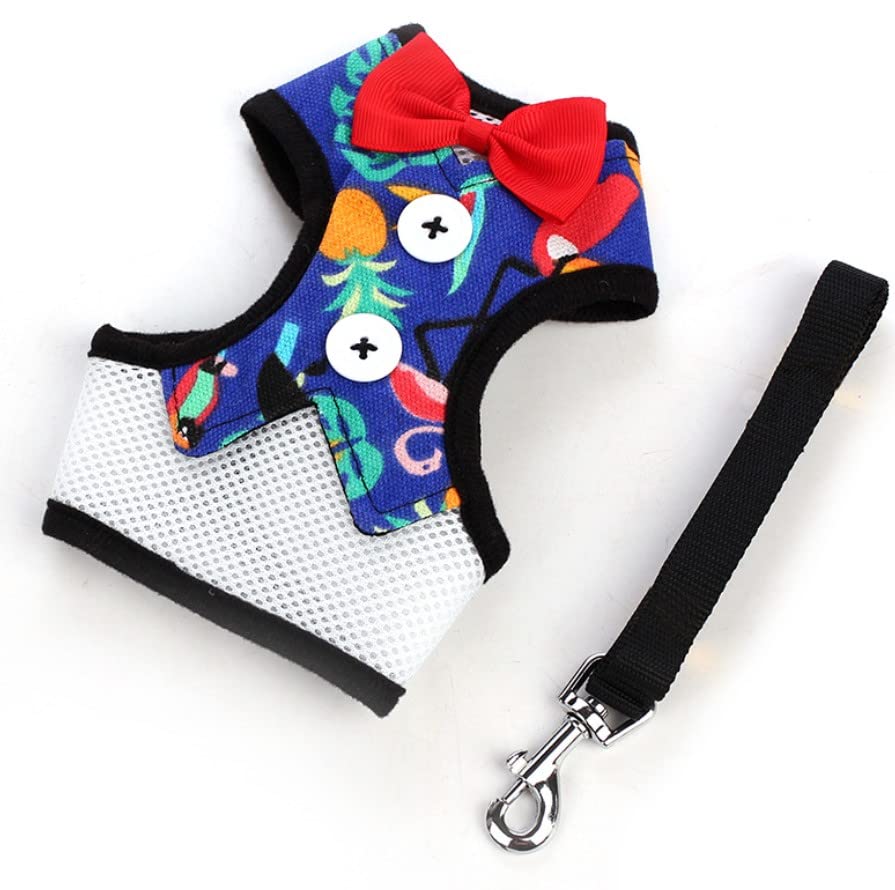 Pets Empire No Pull Harness and Leash for Small Breeds