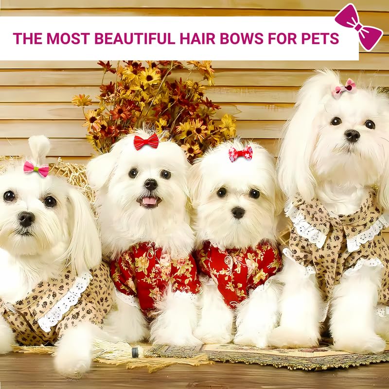 Pets Empire Mixed Hair Bows Rubbers for Cat/Puppy