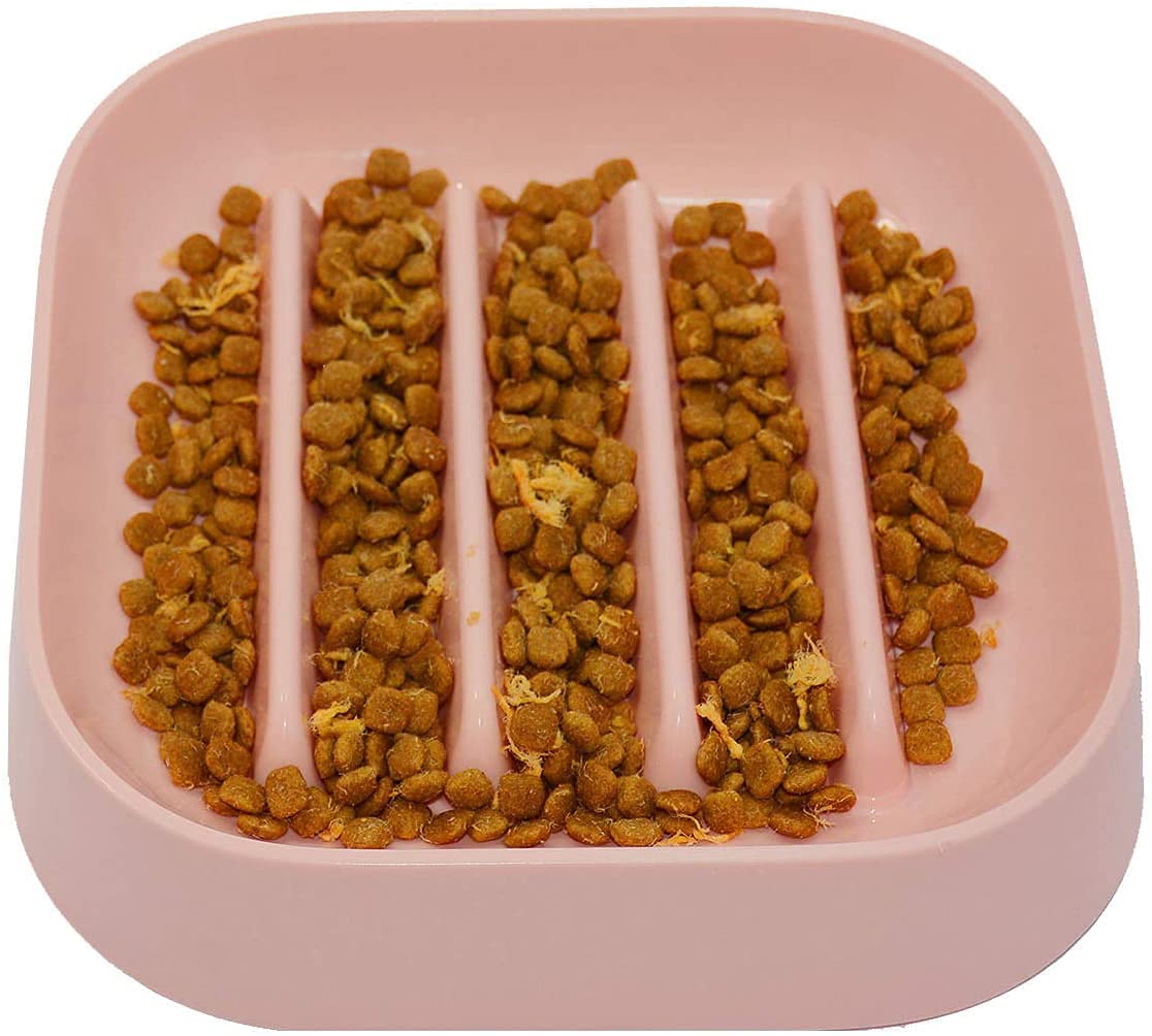 Pets Empire Dog Anti-Choking Feeding Bowl ( Color May Vary)