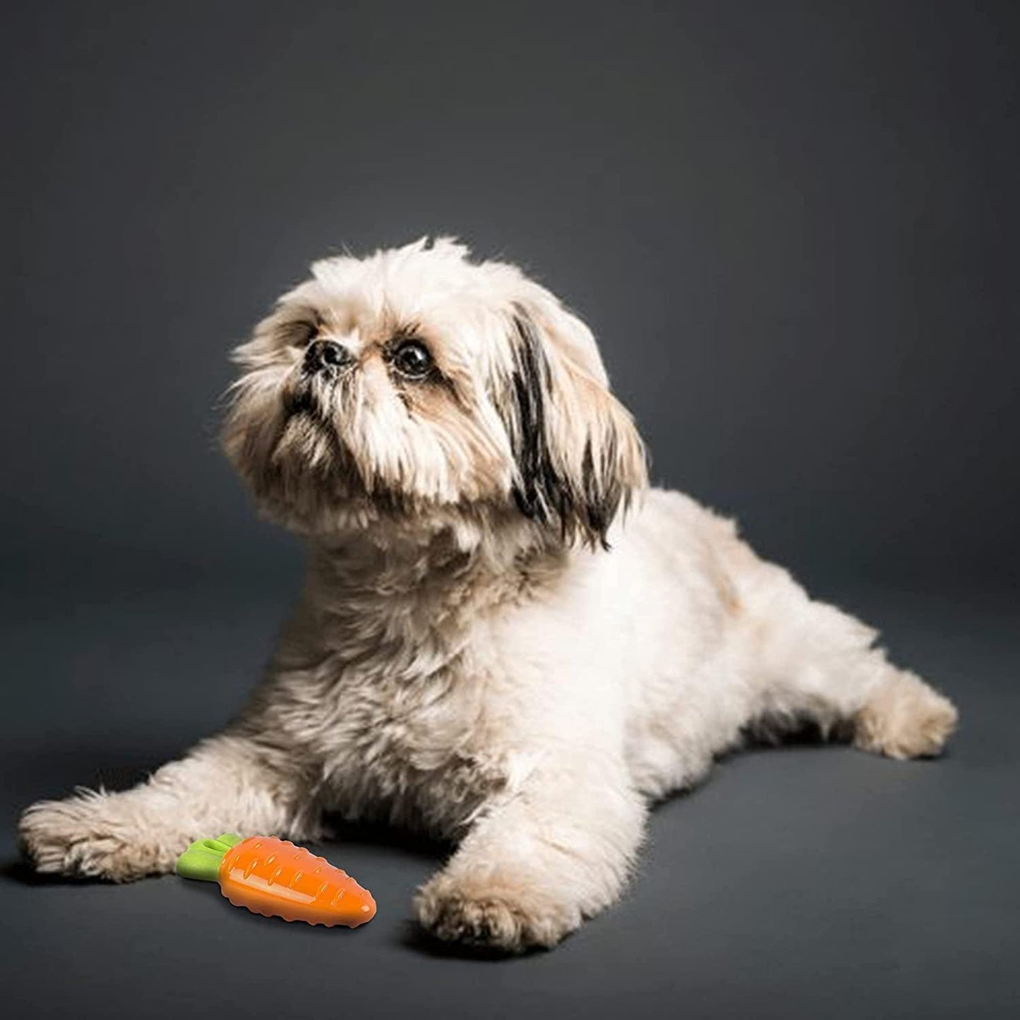 PETS EMPIRE Carrot Chew Rubber Teething Toy for Dog 1 Pc