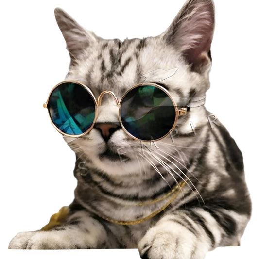 Pets Empire Eye Protection Sunglasses for Cat/Dogs