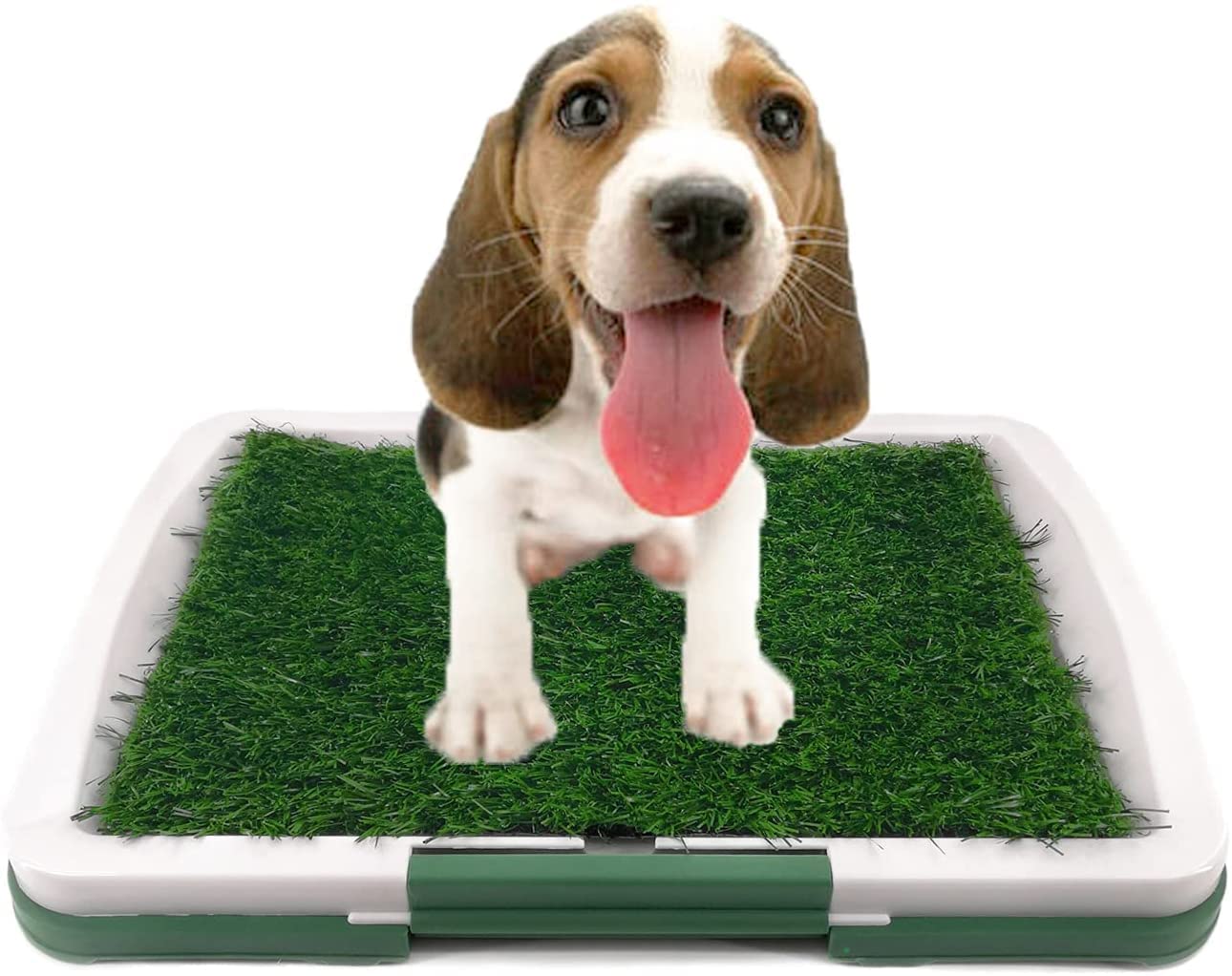 Pets Empire Potty Training Grass Tray for Puppies & Small Dogs