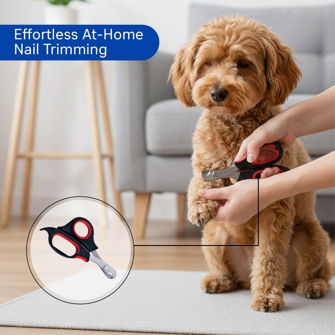 Pets Empire 5-in-1 Dog & Cat Grooming Combo