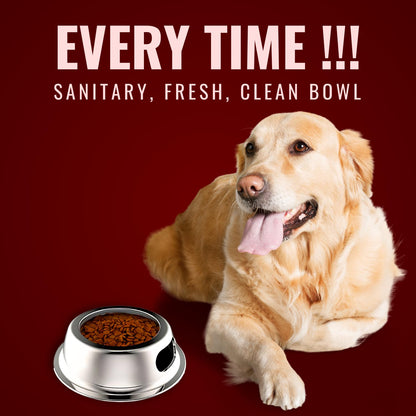 Pets Empire Paper Bowl Use And Throw for Dogs and Cats with Stainless Steel