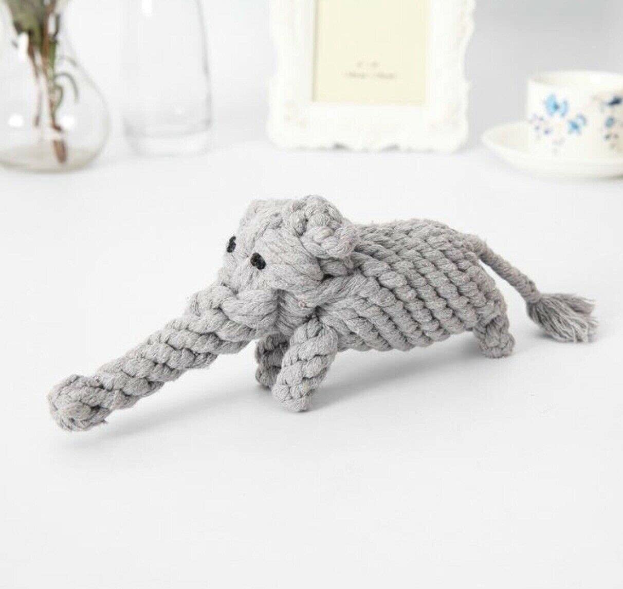 Pets Empire combo of Puppy Breed Dog Rope Toy (Pack of 4)