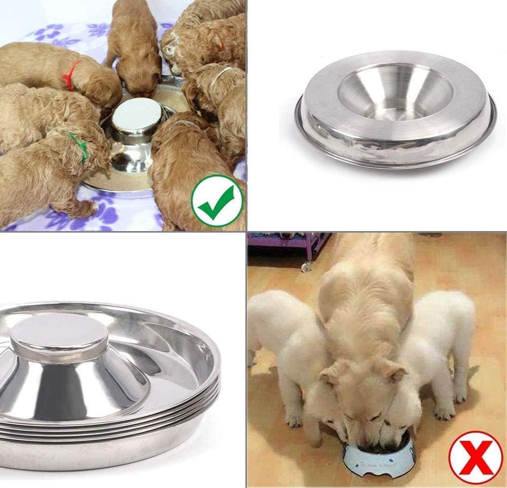 Pets Empire Stainless Steel Slow Feeding Dish